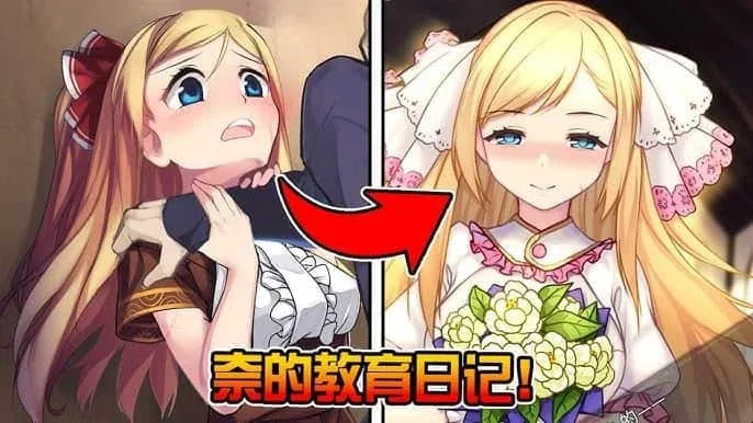奈的教育日记 奈的教育日记顶级黄油汉化资源 封面图